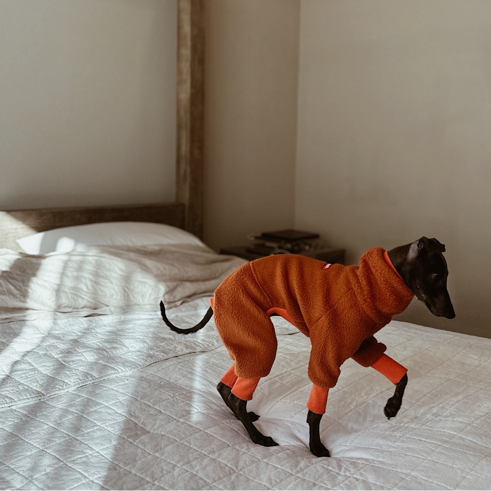 Italian greyhound fleece sweater onesie